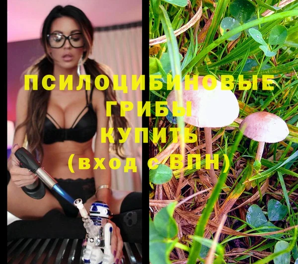 спайс Абинск