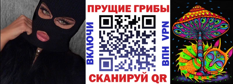 Псилоцибиновые грибы MAGIC MUSHROOMS  ОМГ ОМГ ссылка  Мегион 